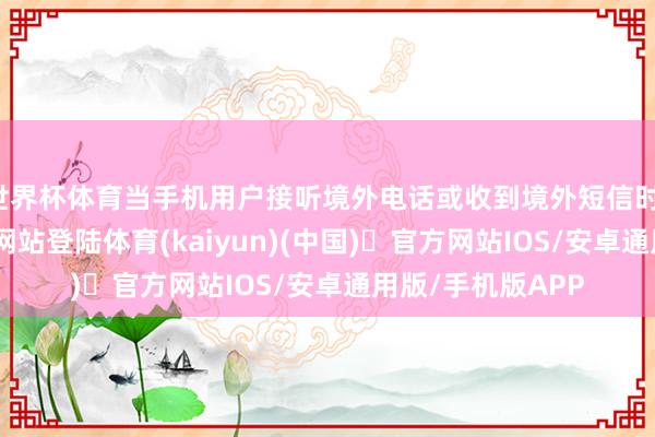 世界杯体育当手机用户接听境外电话或收到境外短信时-开yun体育官方网站登陆体育(kaiyun)(中国)❥官方网站IOS/安卓通用版/手机版APP