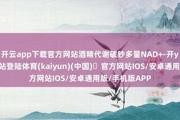 开云app下载官方网站酒精代谢破钞多量NAD+-开yun体育官方网站登陆体育(kaiyun)(中国)❥官方网站IOS/安卓通用版/手机版APP