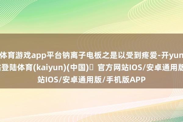 体育游戏app平台钠离子电板之是以受到疼爱-开yun体育官方网站登陆体育(kaiyun)(中国)❥官方网站IOS/安卓通用版/手机版APP