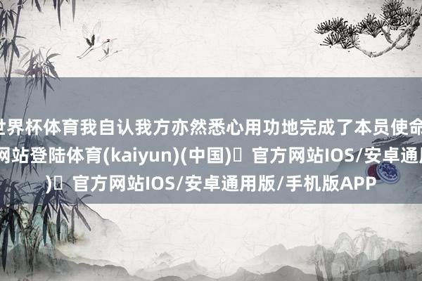 世界杯体育我自认我方亦然悉心用功地完成了本员使命-开yun体育官方网站登陆体育(kaiyun)(中国)❥官方网站IOS/安卓通用版/手机版APP