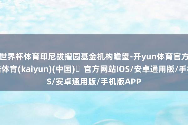世界杯体育印尼拔擢园基金机构瞻望-开yun体育官方网站登陆体育(kaiyun)(中国)❥官方网站IOS/安卓通用版/手机版APP